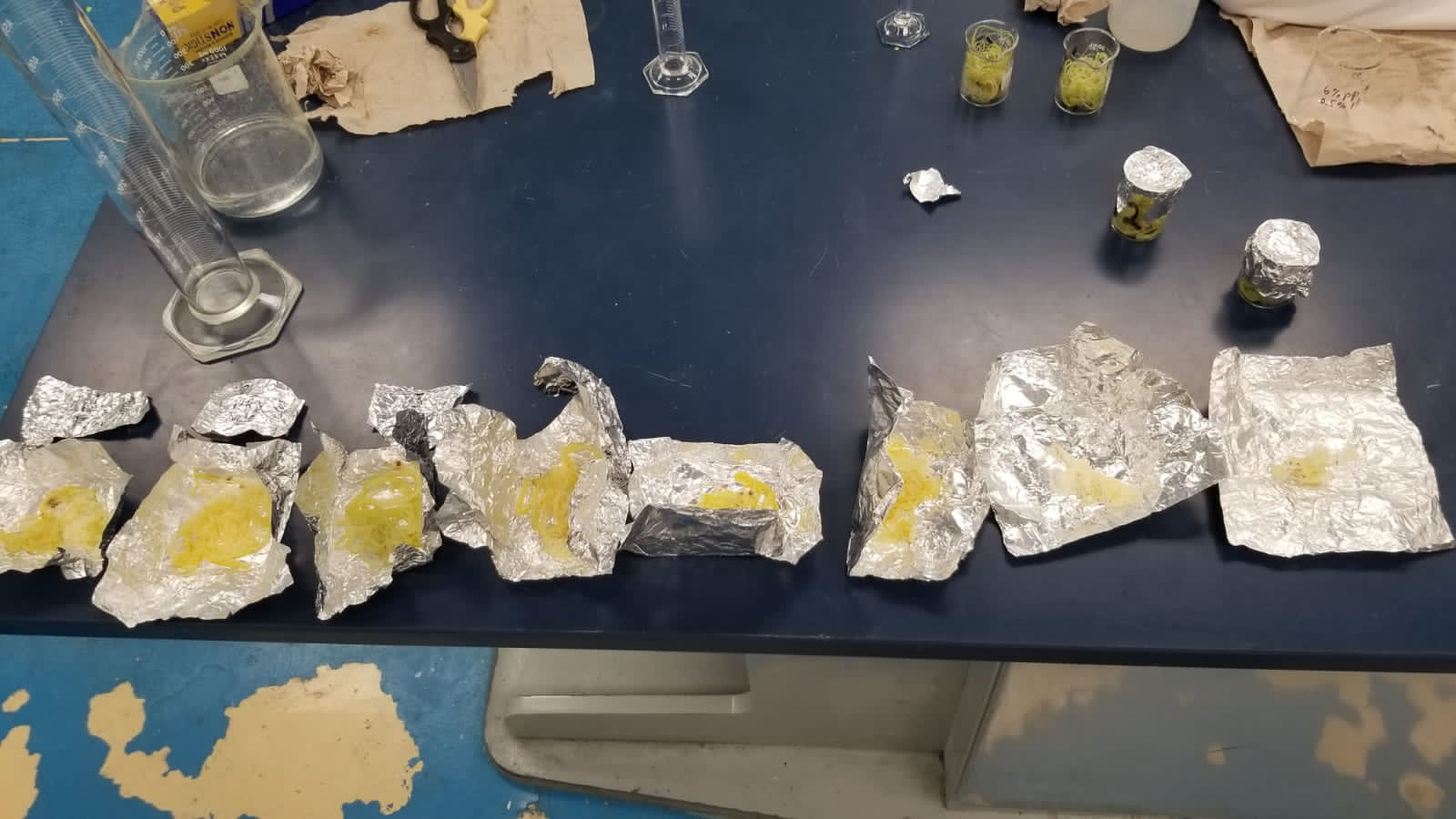 Kioete Lab Results